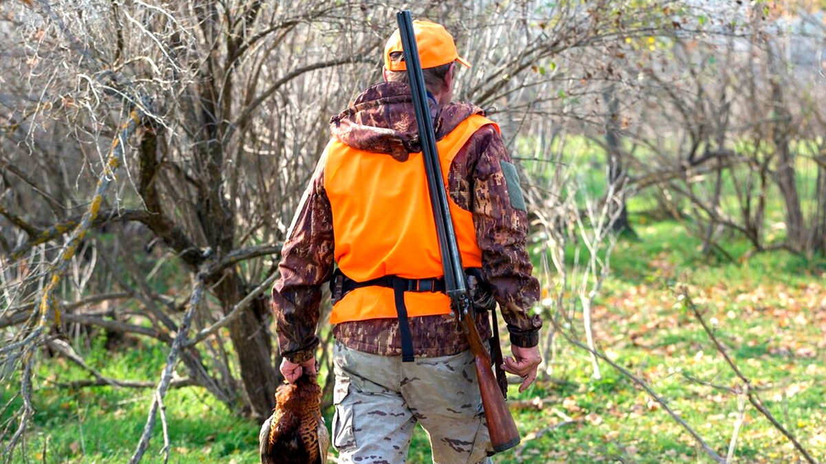 Un chasseur condamné pour avoir abattu un chien en liberté en le prenant pour un renard “c’était un accident, mais ça ne passe pas”