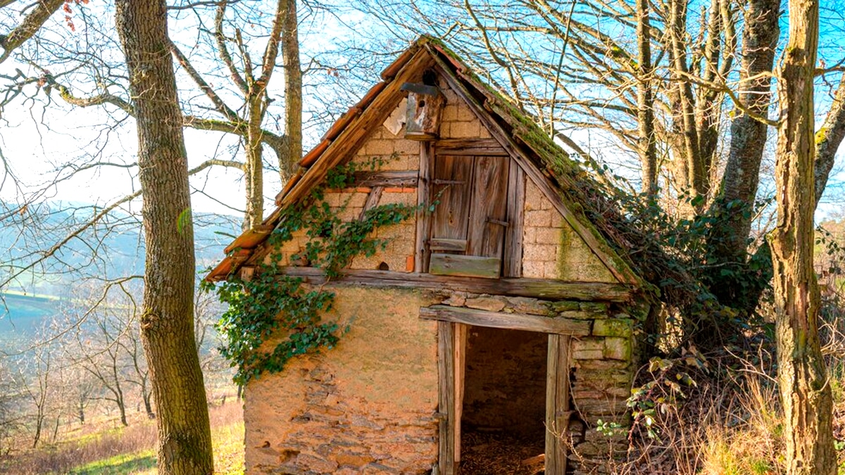 “Il avait construit ça avec des panneaux récupérés” raconte le voisin en découvrant un ancien abri de jardin abritant un système solaire artisanal conçu en 1972 et encore fonctionnel selon les experts venus l’examiner