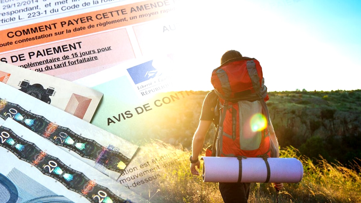 Ce campeur a été verbalisé pour avoir accroché des lampes solaires à un arbre “ça attire les insectes protégés selon l’arrêté local”