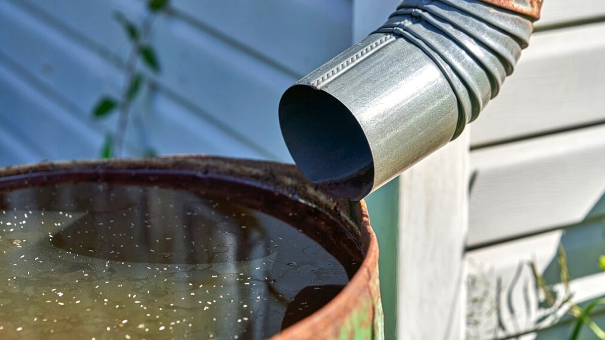 Un habitant d’un lotissement a été contraint de vider son récupérateur d’eau “c’était visible depuis la voie publique et jugé inesthétique”