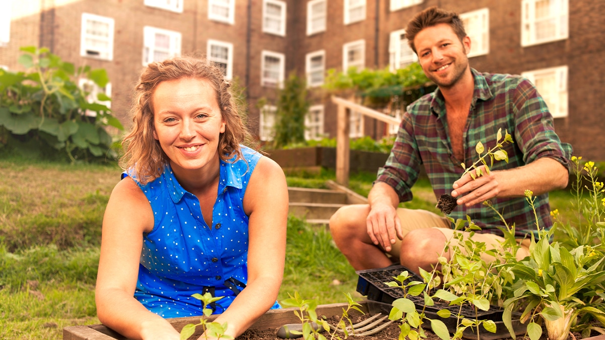 Un potager urbain interdit car trop proche d’un transformateur électrique “on m’a dit que les ondes étaient un problème pour les légumes-feuilles”