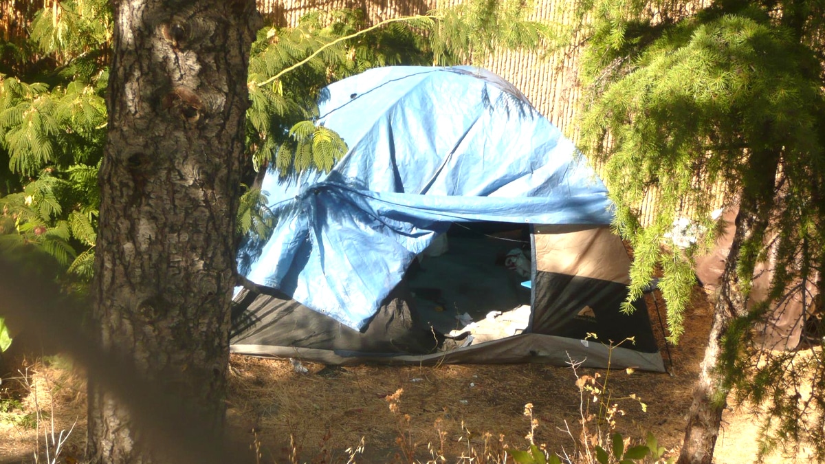 Une aire de camping illégalement aménagée dans un champ provoque la colère des riverains “la mairie parle de pollution visuelle et de nuisance”