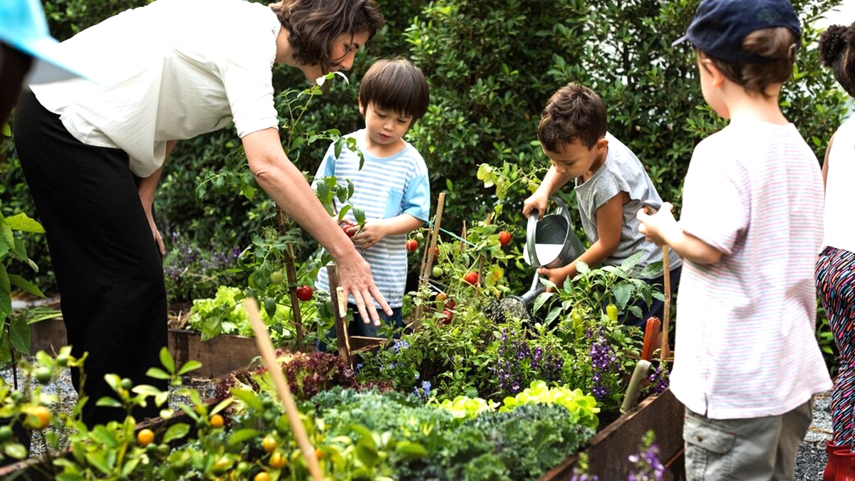 Une école sanctionnée pour avoir installé un potager pédagogique sans déclaration préalable “le terrain appartenait à la région”