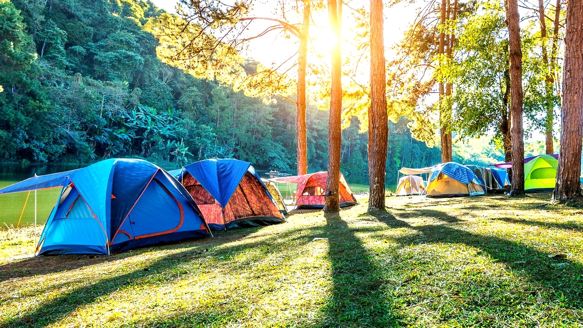 “La structure était jugée instable” explique le gérant après avoir expulsé un couple qui avait monté un dôme en bâche recyclée sur leur emplacement dans un terrain de camping très fréquenté