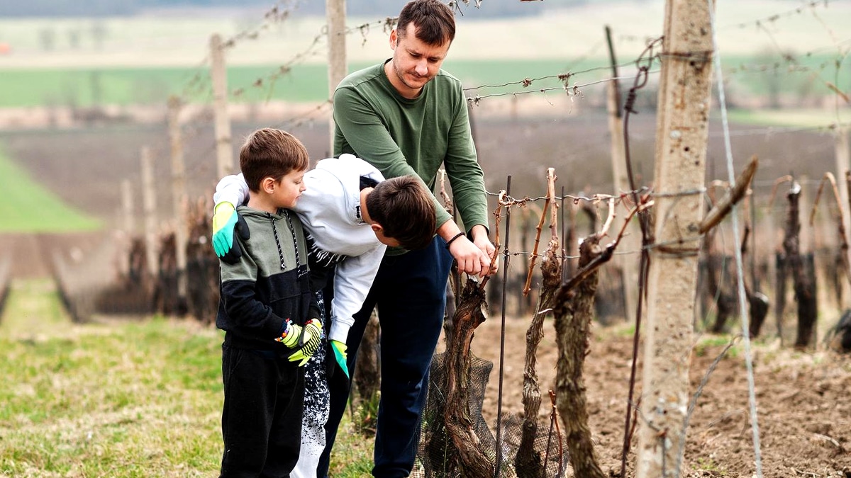 Ce vigneron refuse le forage sur sa parcelle “je veux garder mes terres même si elles valent des millions en sous-sol”