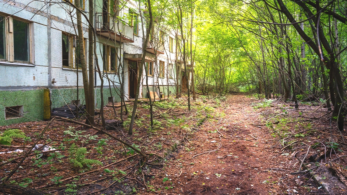 La caserne abandonnée dans la forêt servait en réalité à des tests de communication ultra-secrets