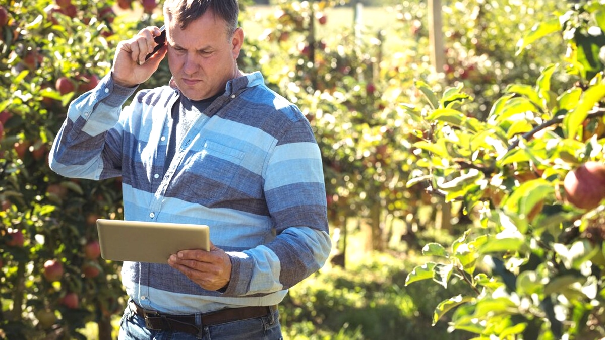 Le ministère de l’Environnement lance une nouvelle taxe sur les systèmes d’arrosage automatique “mon jardin est devenu un luxe”