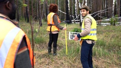 “On m’a fait démonter ma cabane de jardin” : les inspecteurs de la DDT vont désormais patrouiller dans les jardins familiaux pour vérifier les installations non conformes “je pensais que c’était autorisé, c’est pas une villa non plus”
