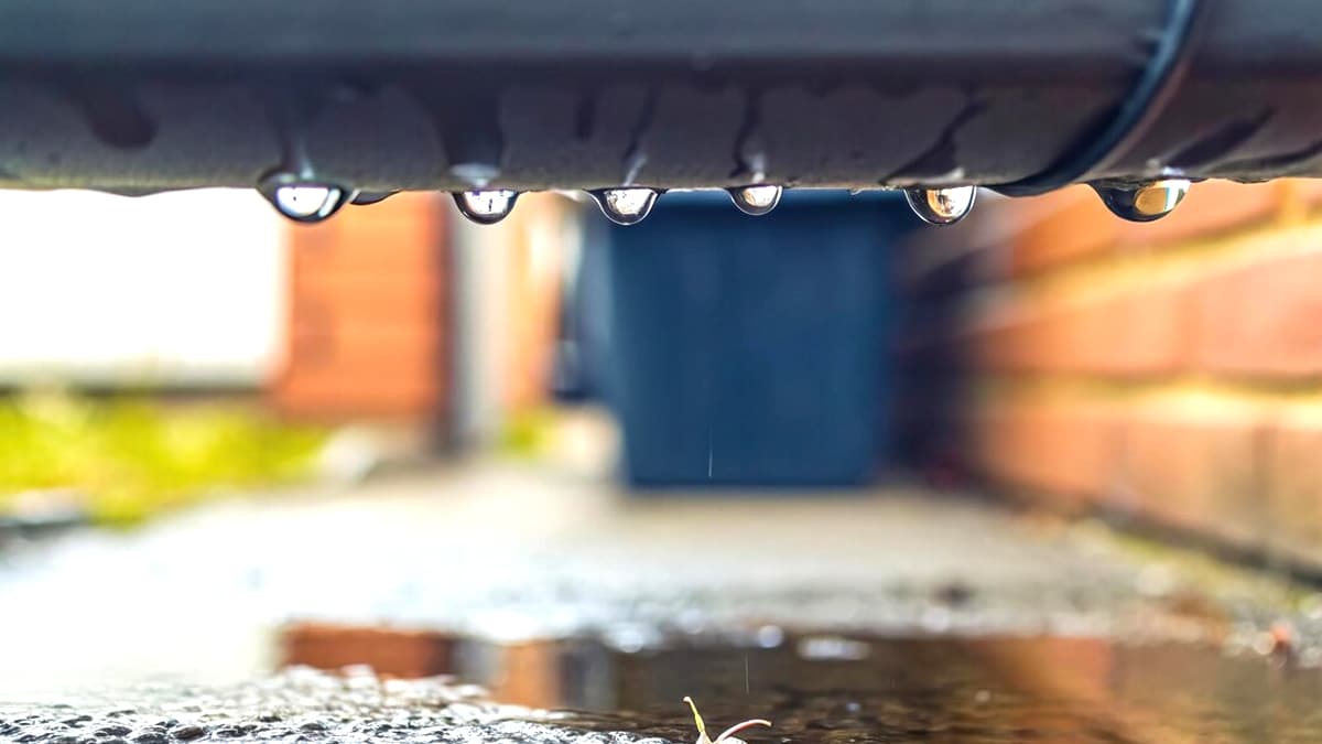 Une nouvelle directive environnementale impose une déclaration pour les récupérateurs d’eau “je ne pensais pas que ça concernait un bidon”