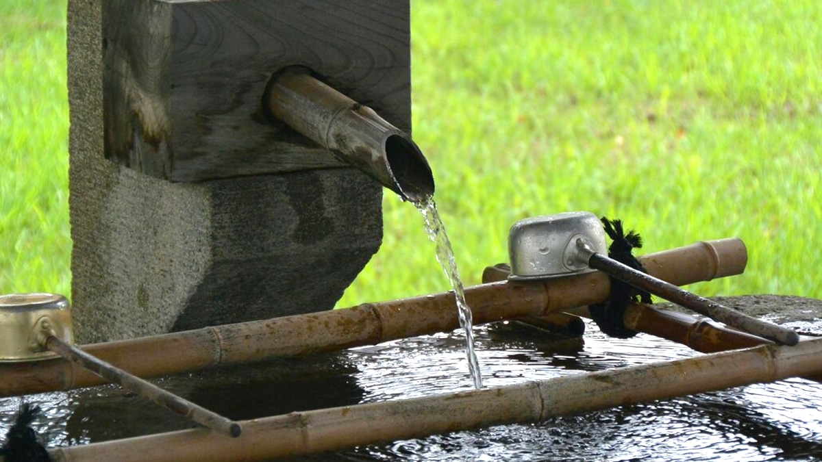 Voici combien j’ai économisé en arrêtant d’utiliser de l’eau du puits sans autorisation “on m’a prévenu à temps, l’amende dépasse 1 500 €”