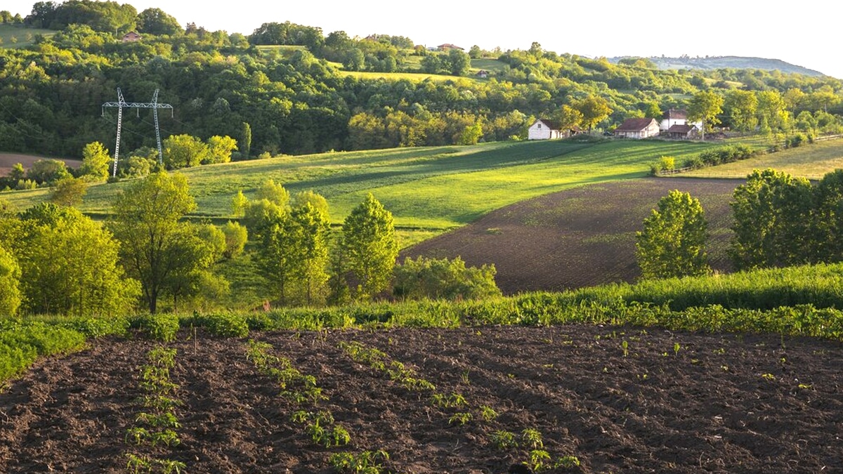 Les services de l’État bloquent un terrain agricole suite à la découverte de monazite “c’est un composant stratégique”