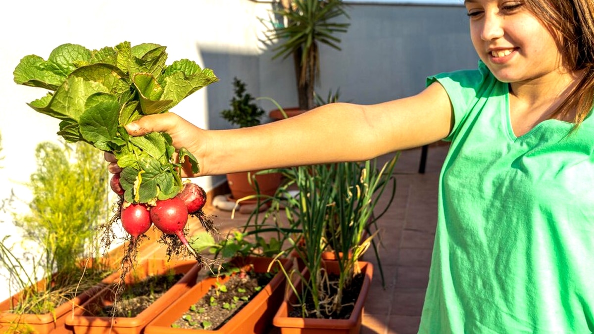L’écologie punitive entre dans les potagers : le BRGM impose une distance minimale pour les puits “même en terrain privé”
