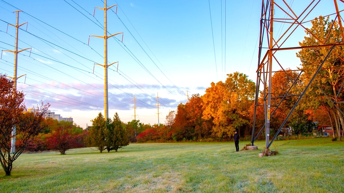 Une nouvelle règle oblige les propriétaires à tailler les arbres proches de lignes électriques “on m’a mis en demeure sans préavis”