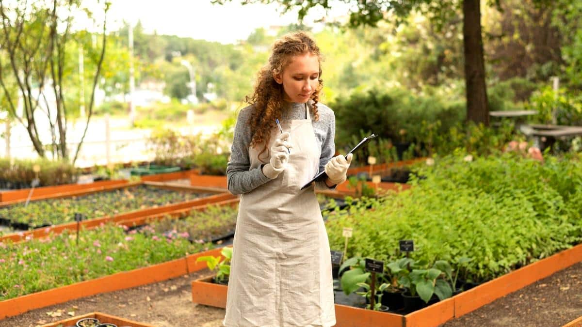 “Le préfet évoque un usage illégal du domaine public” déplore l’association après avoir reçu une mise en demeure pour avoir transformé un simple terrain vague en jardin partagé selon un arrêté transmis aux bénévoles