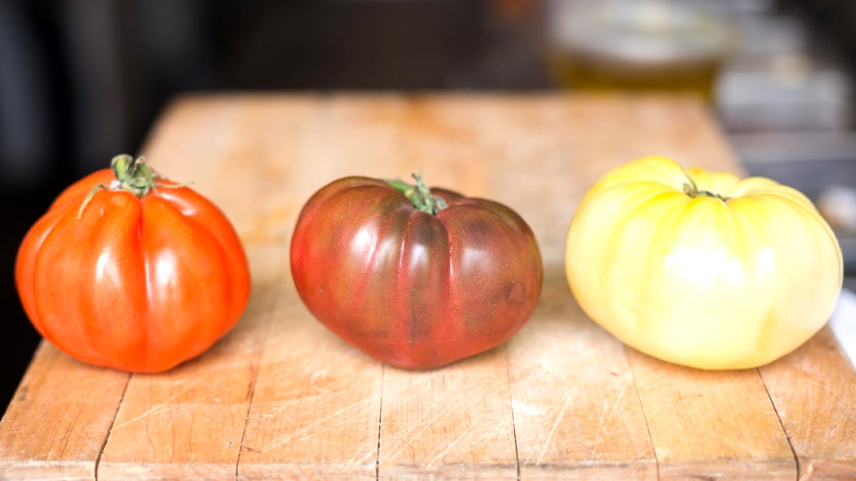 “Les jardiniers sont furieux” après l’interdiction de vente d’une variété ancienne de tomate pourtant très cultivée, car elle ne figure pas au catalogue officiel selon la réglementation en vigueur