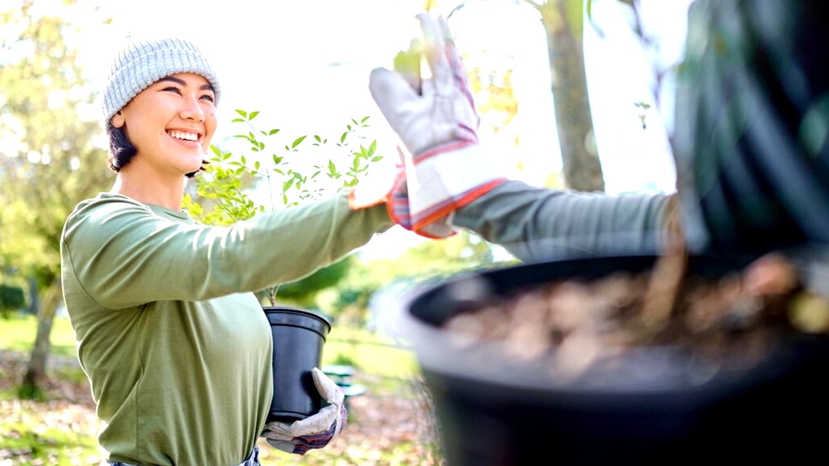 Cette plainte pour nuisance olfactive liée au compost d’un jardinier amateur a été reconnue par le tribunal “je dois maintenant couvrir mon composteur”