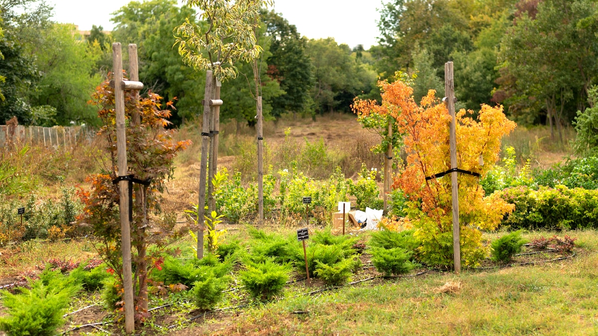 Le décret du 4 juillet classe les buttes de permaculture comme aménagements paysagers soumis à autorisation au-delà de 20 cm de surélévation