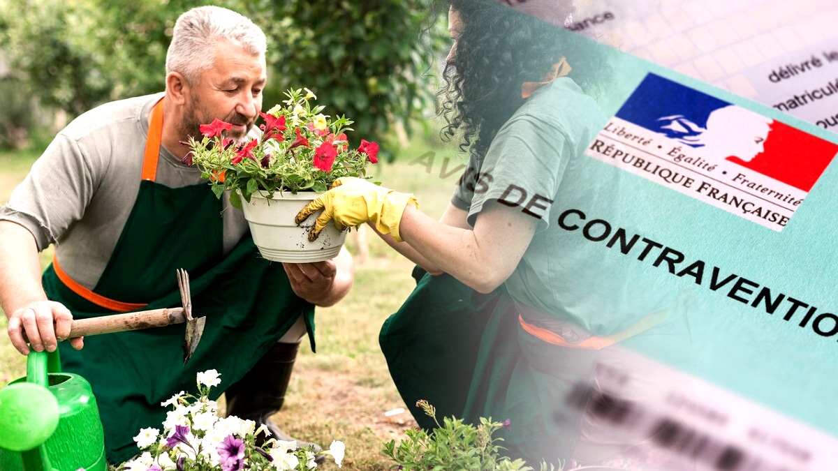 Voici pourquoi tant de jardiniers sont verbalisés cet été à cause de leurs haies débordantes “on m’a mis une amende pour 20 cm de feuillage”