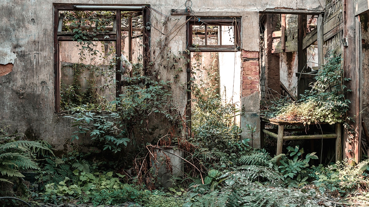Jardin laissé à l’abandon, pelouse trop haute : ces communes déclenchent une procédure d’amende dès 40 cm de hauteur