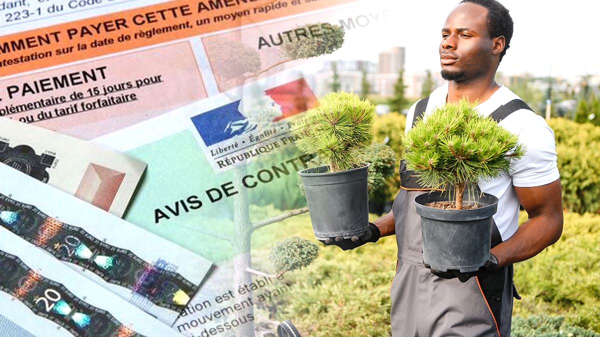 Ce jardinier a reçu une amende pour avoir brûlé des feuilles mortes “interdit en zone périurbaine selon arrêté préfectoral du 4 juin”