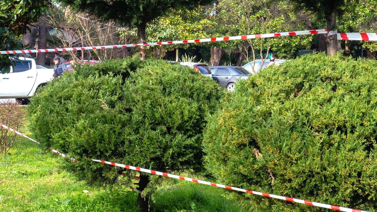 Nouvelle obligation autour des haies mitoyennes : « ceux qui ne nettoient pas leur côté s’exposent à 450 € d’amende selon l’arrêté local