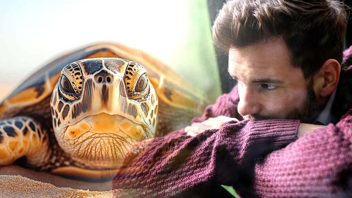 “J’ai ouvert en grand, c’est bon” explique la propriétaire de cette tortue retrouvée prostrée, desséchée, enfermée dans sa coquille en pleine canicule selon les secours impuissants