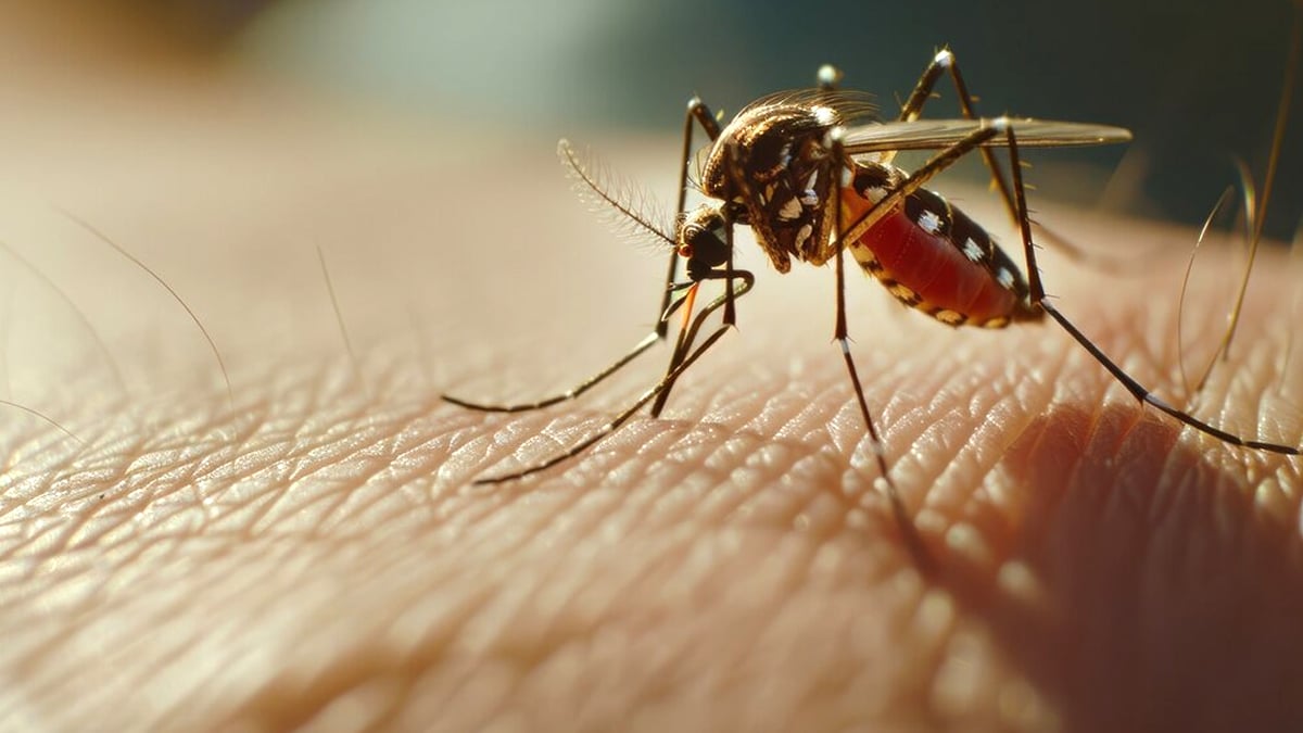 “Je croyais que c’était une piqûre de moustique” mais c’était une gale et le médecin m’a dit “vous avez contaminé tout votre linge de lit”
