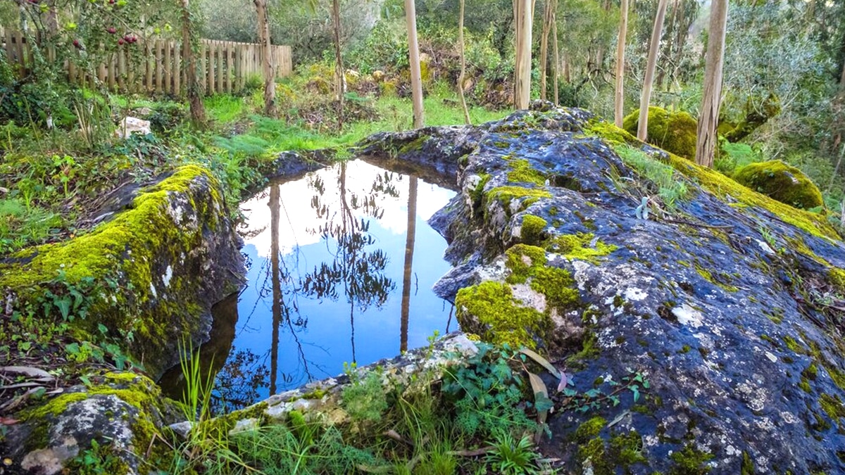 “C’est juste un petit bassin” dit ce jardinier après une amende pour construction sans autorisation