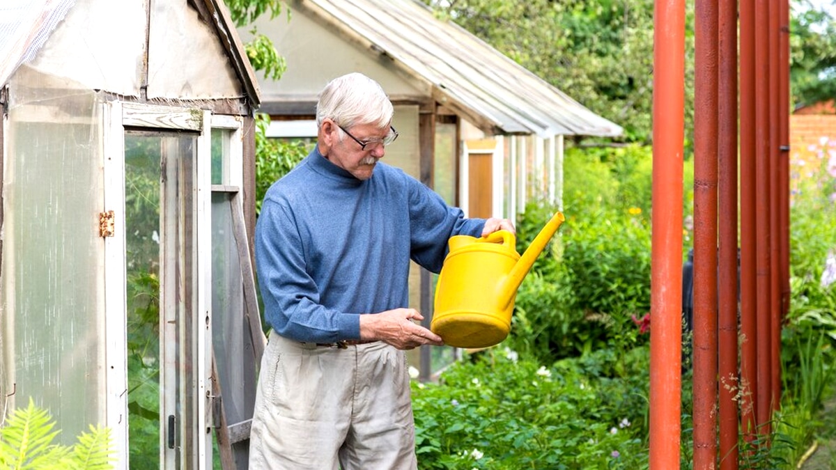 “On m’a dit que c’était toléré” dit ce retraité qui a transformé son abri de jardin en studio loué à la semaine