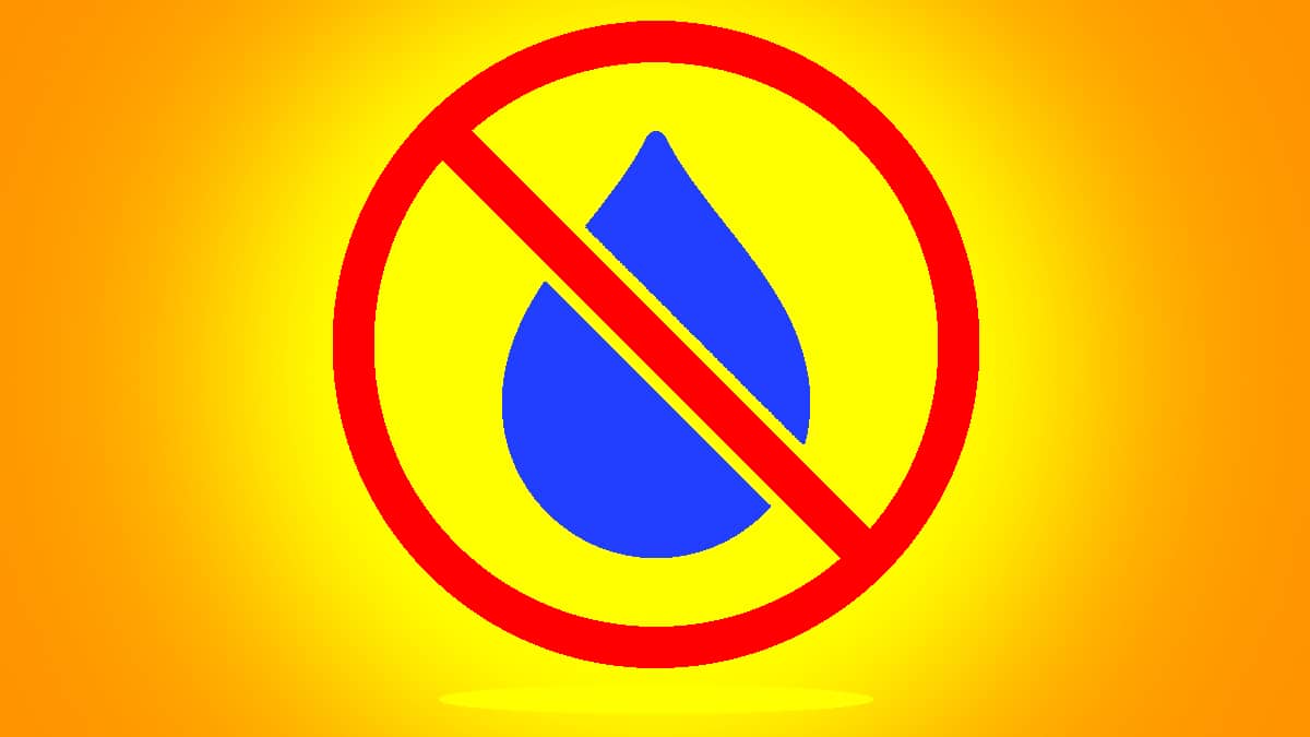 “C’est pas une erreur c’est un choix budgétaire” répond la mairie après la suppression de l’accès gratuit à l’eau pour les animaux errants