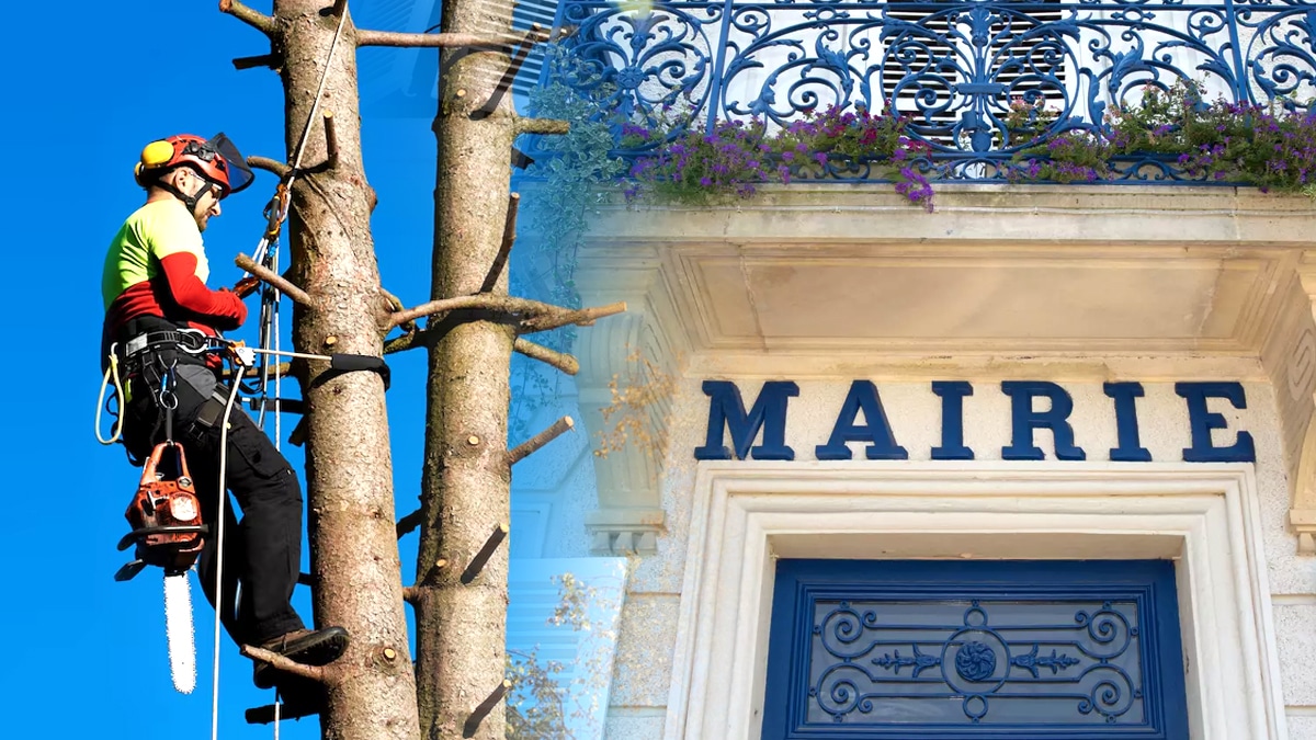 “C’était une simple vérification locale” disent les voisins après que la mairie ait facturé 1?200 € pour non?élagage