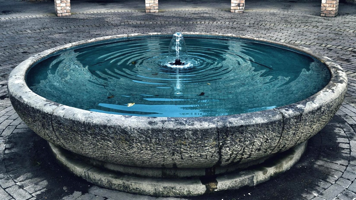 “C’était juste un bassin décoratif” répond un jardinier après une amende pour piscine non déclarée