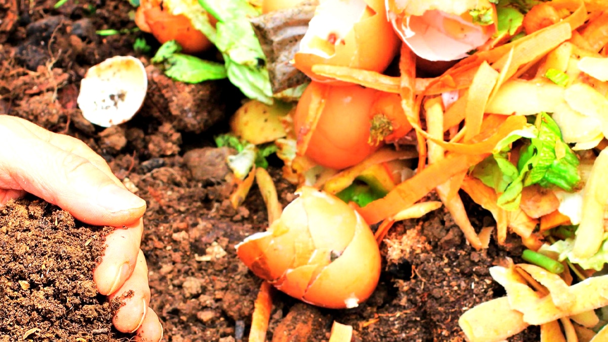 “On croyait que c’était juste du compost” disent des locataires surpris par amende pour dépôt sauvage