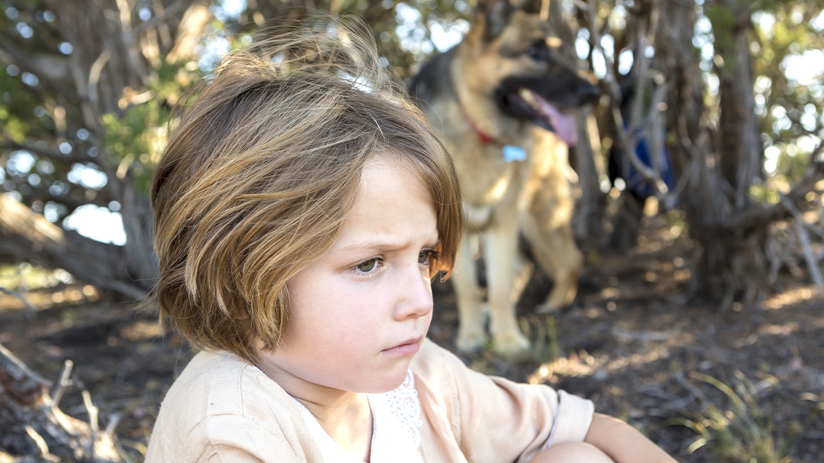 “C’est pas un animal qu’ils ont laissé, c’est un membre de la famille” témoigne un enfant bouleversé après l’abandon du chien familial selon les bénévoles du refuge qui l’ont recueilli en larmes