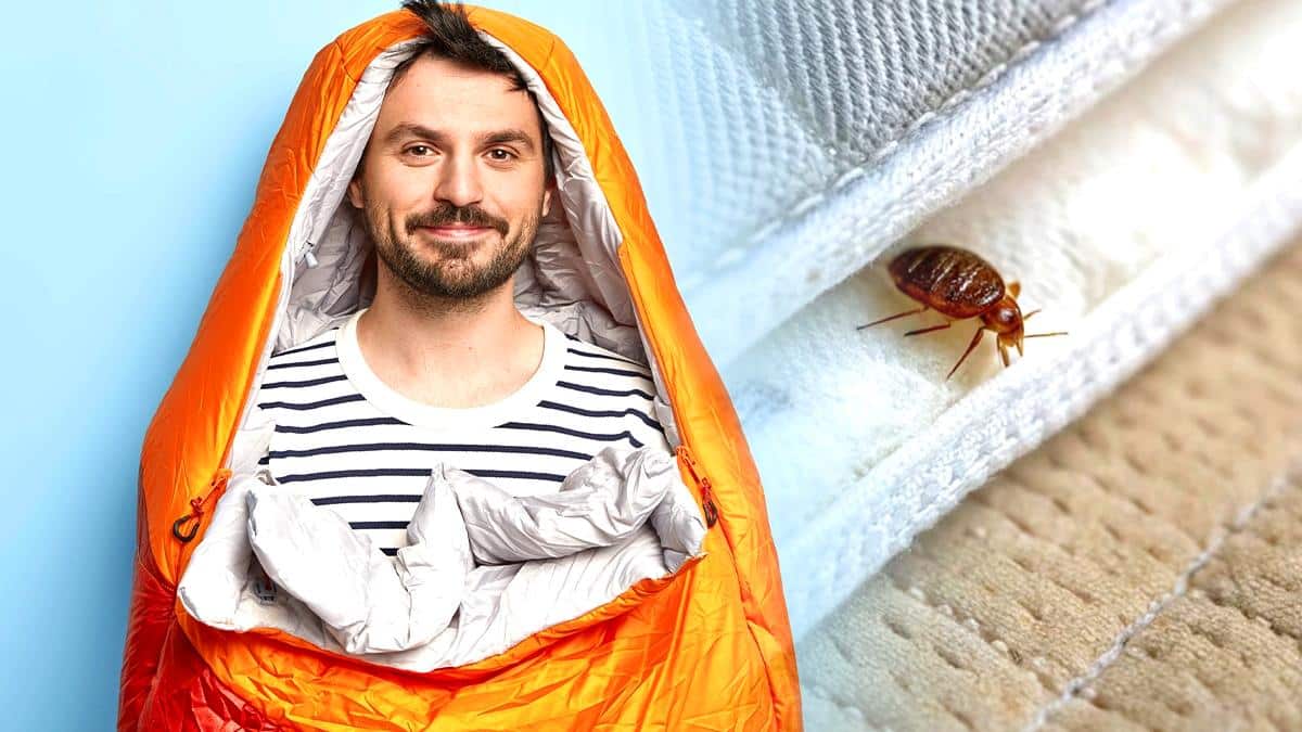 “J’ai dormi dans un sac de couchage pendant une semaine, c’est spartiate mais j’ai évité la recontamination” affirme cette étudiante confrontée aux punaises dans sa coloc