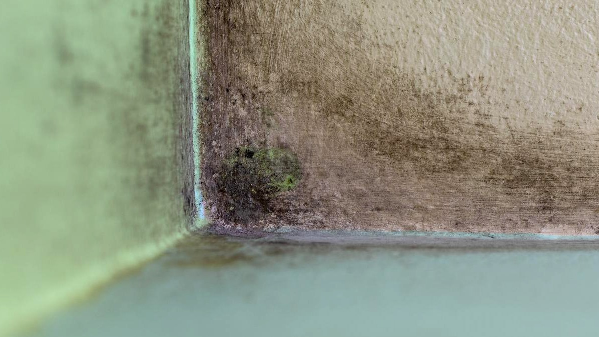 “On a bloqué toutes les aérations et mis un déshumidificateur, c’est radical mais au moins on dort” assure ce couple qui affirme avoir éradiqué la moisissure sans refaire les murs ni changer les fenêtres
