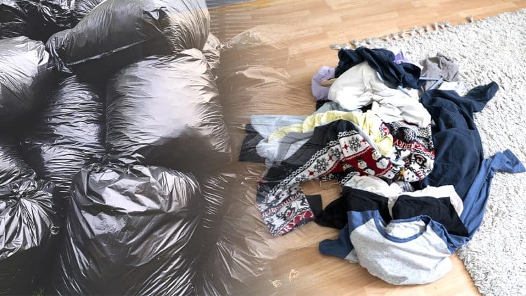 “J’ai enfermé tous les vêtements dans des sacs poubelles pendant un mois, c’est radical mais on a dit adieu aux mites” : cette retraitée refuse les produits chimiques et sauve sa garde-robe avec une méthode simple mais redoutablement efficace