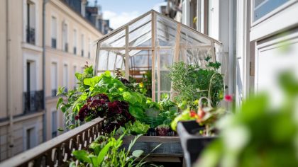 Attention Balconiers : Installer une Serre Sans Autorisation Peut Vous Coûter Cher en Amendes et Convocations, êtes-vous Prêts à Prendre le Risque ?