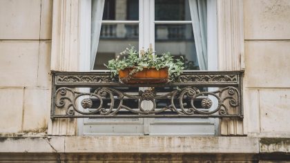 Ce modèle de serre vendu chez Gifi fait l’objet d’une interdiction dans 7 départements "ça réfléchit trop la lumière selon les voisins