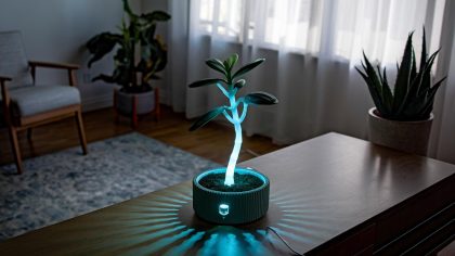 « Ce n’est pas de la science-fiction » une lampe biologique qui pousse comme une plante éclaire les maisons dès le 2 août 2025