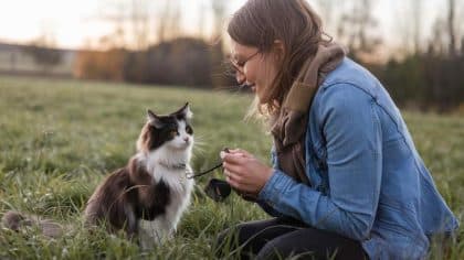 “C’est pas comme si c’était un enfant, il va s’en sortir” lâche cette femme après avoir largué son chat en pleine campagne avec un collier et une clochette