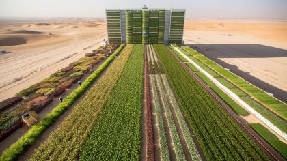 C’est une renaissance pour l’agriculture mondiale : un champ vertical géant en plein désert produit ses premières récoltes dès août 2025