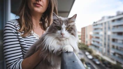 “C’était pour ne pas lui infliger le trajet” dit cette femme après avoir laissé son chat enfermé sur un balcon en plein mois d’août