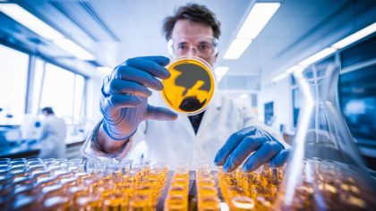 « Cette découverte va tout changer » des scientifiques révèlent une bactérie capable de produire de l’or pur en laboratoire dès le 29 juillet 2025
