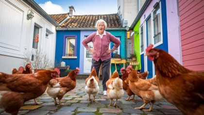 Conflit de voisinage escalade: Une retraitée confrontée à des plaintes municipales pour ses poules "trop curieuses" – Une injustice ou un nécessaire respect de la propriété?
