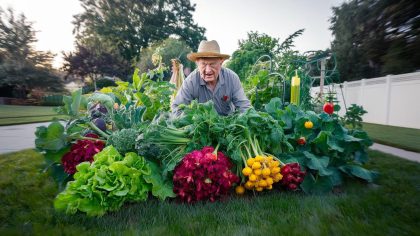 Conflit de voisinage ou réglementation excessive ? Un retraité sanctionné pour un potager légèrement envahissant : “je ne savais même pas que c’était interdit”