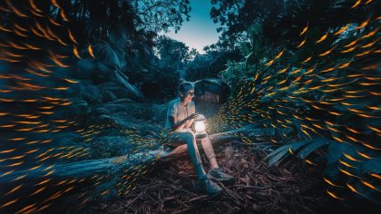 Conflit écologique ou excès réglementaire ? Un campeur sanctionné pour avoir utilisé des lampes solaires dans la nature, au prétexte que cela attire des insectes protégés