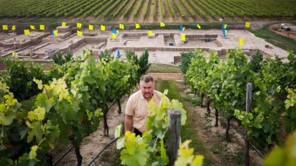 Conflit entre progrès agricole et préservation historique : un viticulteur exaspéré par la découverte archéologique qui paralyse son exploitation