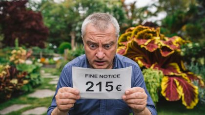 Conflit environnemental et sanction financière : un citoyen écope d'une amende de 215 € pour avoir planté une espèce invasive achetée en toute innocence en jardinerie