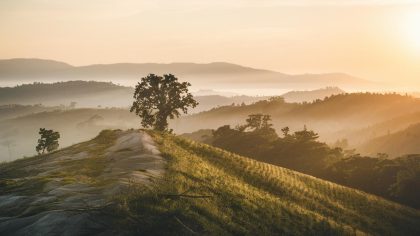 Des parcelles forestières en Corrèze rachetées en bloc par un fonds singapourien révélant un gisement de barytine dès le mois suivant "tout a été signé sans que personne ici ne soit consulté